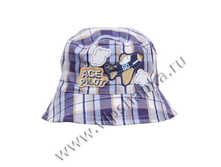 INESA ������ SKAY.jpg