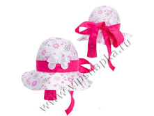 INESA ������ SOFIA.jpg