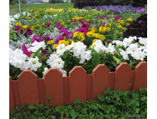 ������, 3 �����, ����������-224,00 ��� 10��