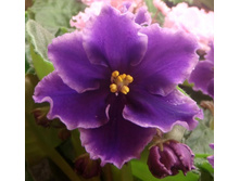 ��-������ ���������.jpg