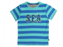 156314	��������_251 ���_���� ���������� 213 ���