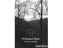 ������ ������� (EP)2007