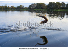 stock-photo-pike-on-hook-jumping-out-of-water-93224671.jpg