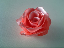 ���� �� ������