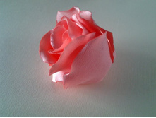 ���� �� ������