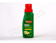 ��� ��� ���� ��������� �������� 285�� Bona Forte