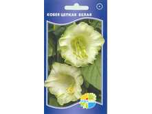 ����� ������ �����_12.00+%