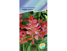 ������� ��������� ����� ������ _12.60+%