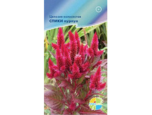 ������� ���������� ����� ������_15.50+%