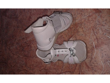 12 �� ���� ��� , ������ ���� 350 ������