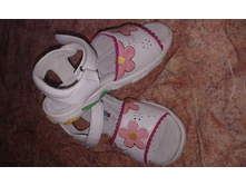 26 �-� 16 ��  ���� ���, ������ ���� 350 ������