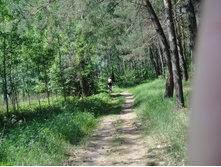 ���������� ������ - �����