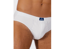 ����� �������