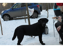 �� ��� ����� ��� ���� ������� ��� ��� ����.JPG