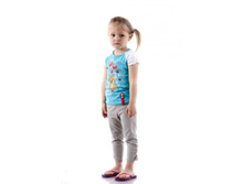 ������ ��� �������. TJB-033 �������-����� 429,0.jpg