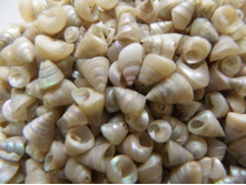 ����� ����_70+%