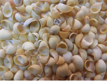 ������ ������_70+%