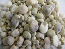 �������� ����_70+%