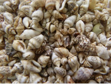 ������ �����_70+%