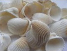 ���� ���� �������_70+%