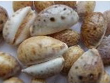 ������ �����_70+%