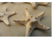 ������� ������ ������� 1-2 �����_80+%