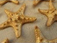 ������� ������  ������ 1-2 �����_80+%