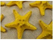 ������� ������ ������ 1-2 �����_60+%