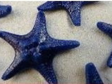 ������� ������ ����� 1-2 �����_60+%