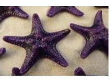 ������� ������ ���������� 1-2 �����_60+%