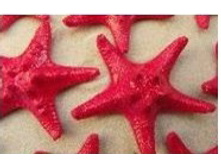 ������� ������ ������� 1-2 �����_60+%