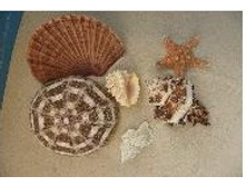 ����� 4_210+%