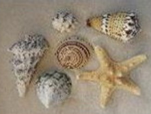 �����1_400+%