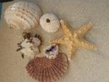 �����2_270+%