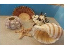 �����3_360+%