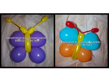 ����� ������2.jpg