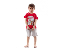 ������ ��� ��������. TJB-027 �������-����� 484,0.jpg