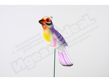 ������ ������� ������ � �������� 30��