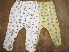 �������� �.24 ��� ���� ���������