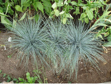 �������� �����.JPG