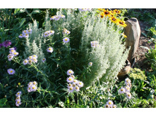 ������ � ����� ����������..jpg