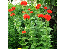 ������ ����������( (������).jpg