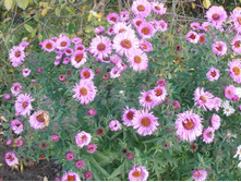 ��������. �������������� *)