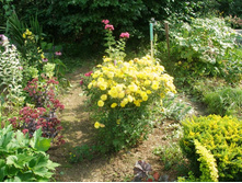 ��������� ��������� ���������+)