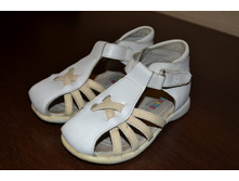 ������� �.24