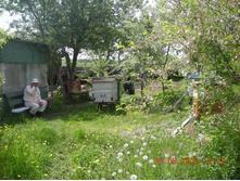 �������