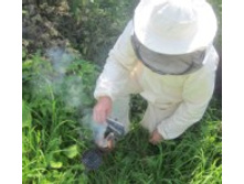 ������ ��.