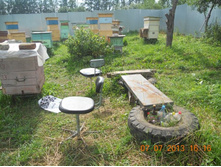 ��-�� �����