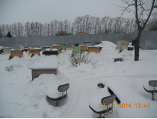 ������ �����