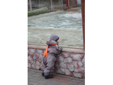 IMGP9683.JPG